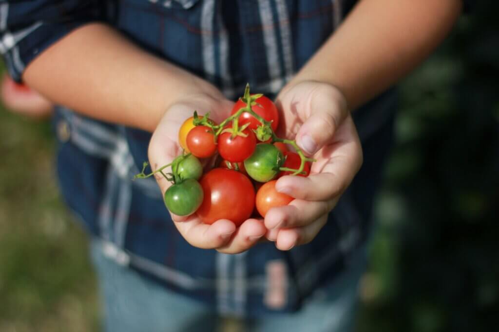 Um novo olhar sobre a alimentação: como garantir qualidade e confiança em um mercado cada vez mais consciente